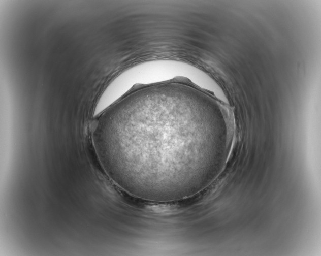 X0000086980417200704301321