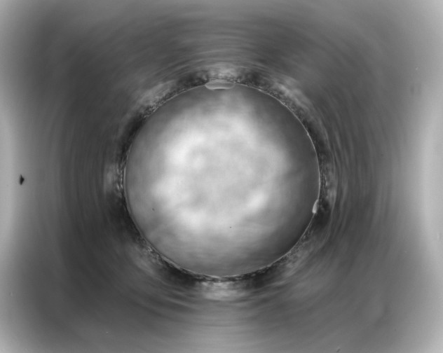 X0000086980419200704301321