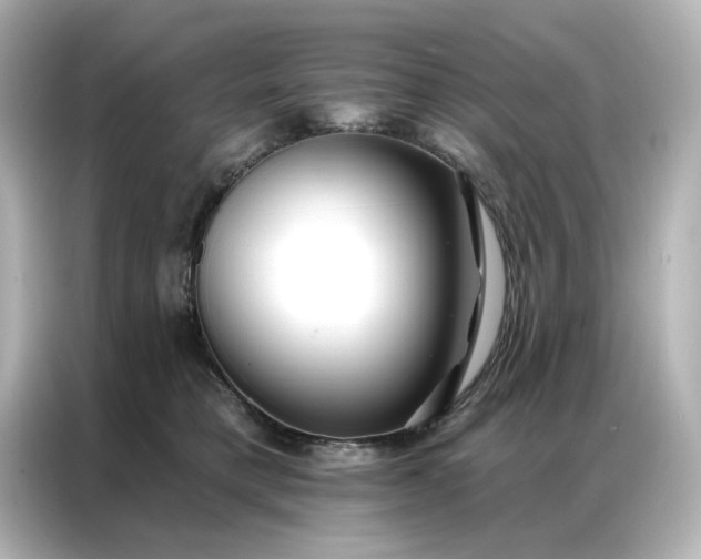 X0000086980421200704301321