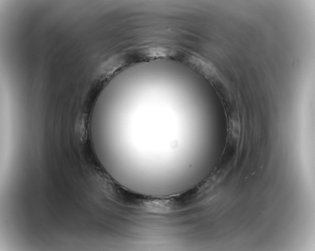 X0000086980422200704301321