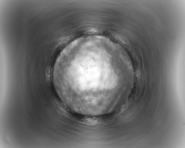 X0000086980423200704301321