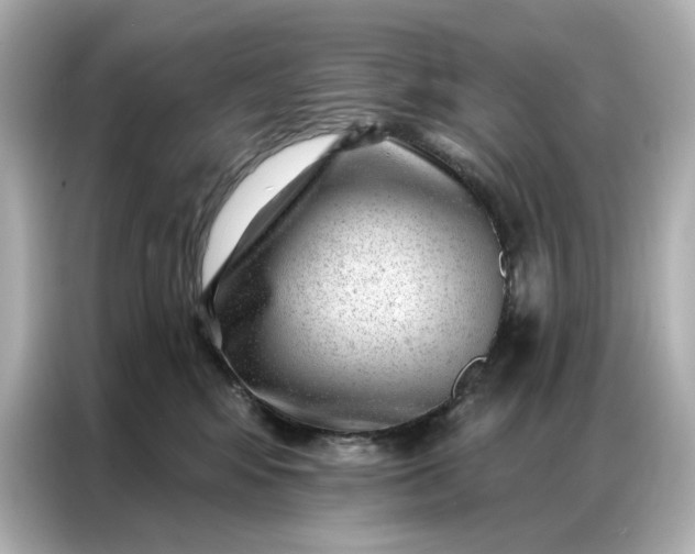 X0000086980424200704301321