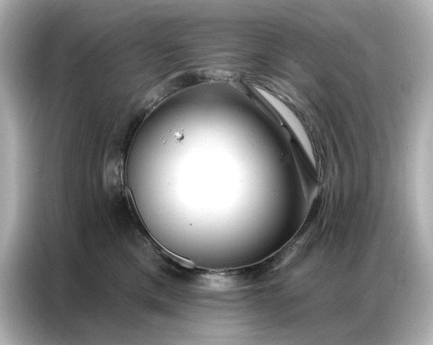 X0000086980425200704301321