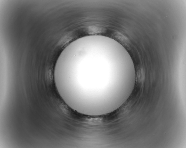 X0000086980426200704301321