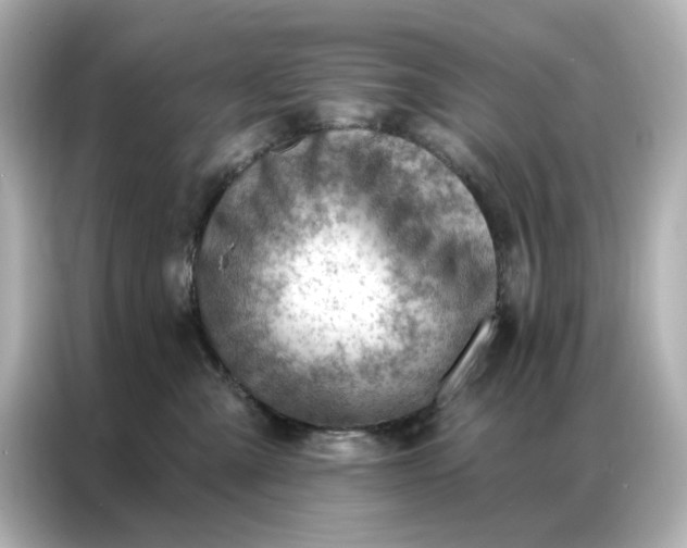 X0000086980427200704301321