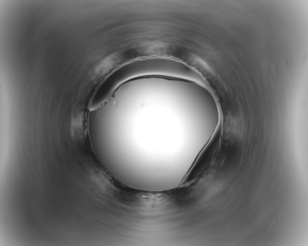 X0000086980428200704301321