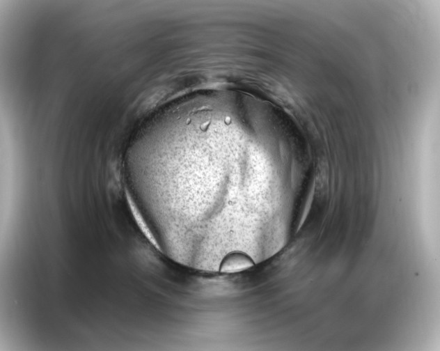 X0000086980430200704301321