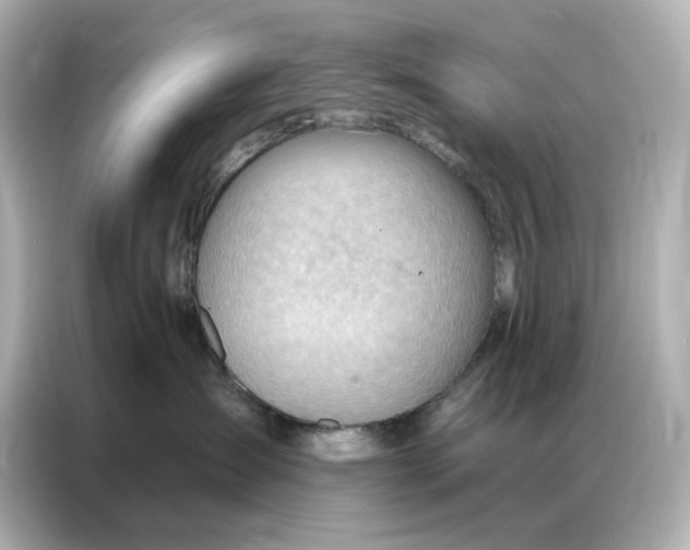 X0000086980431200704301321