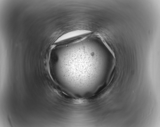 X0000086980432200704301321