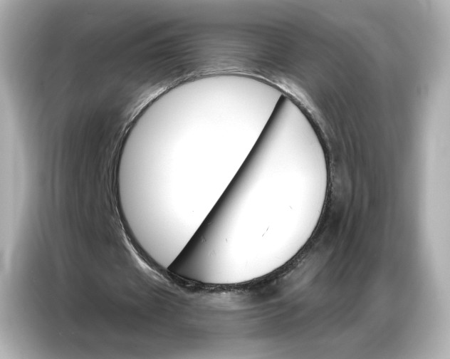 X0000086980433200704301321