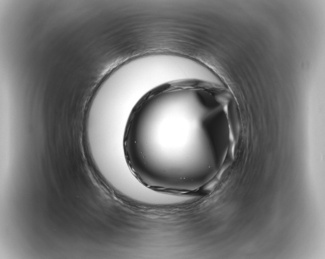 X0000086980434200704301321