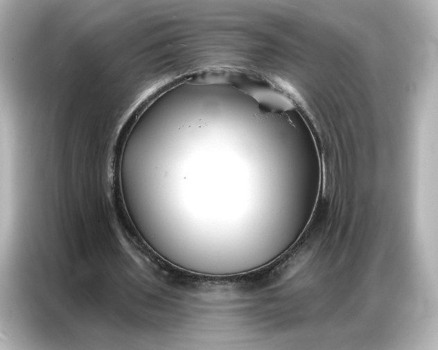 X0000086980435200704301321