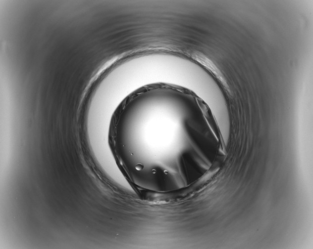 X0000086980436200704301321