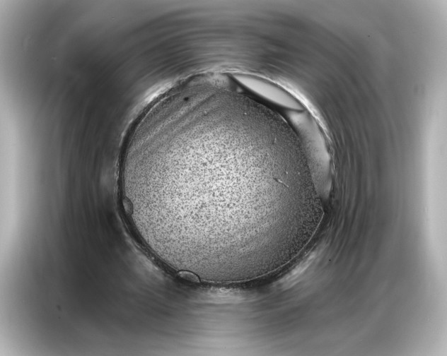 X0000086980437200704301321