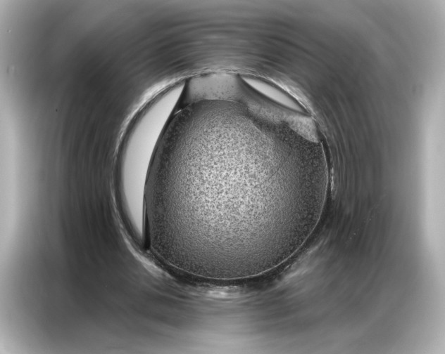 X0000086980438200704301321