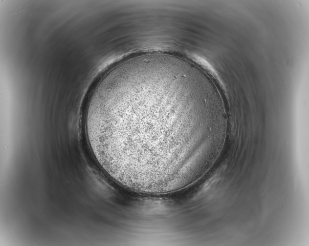 X0000086980439200704301321