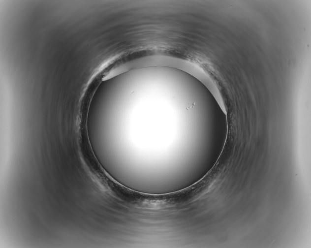 X0000086980440200704301321