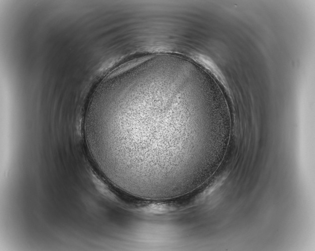 X0000086980441200704301321