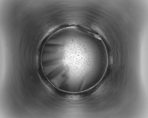 X0000086980444200704301321