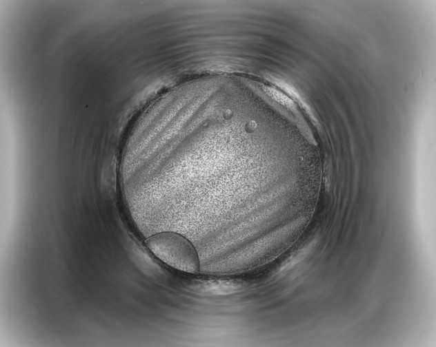 X0000086980445200704301321