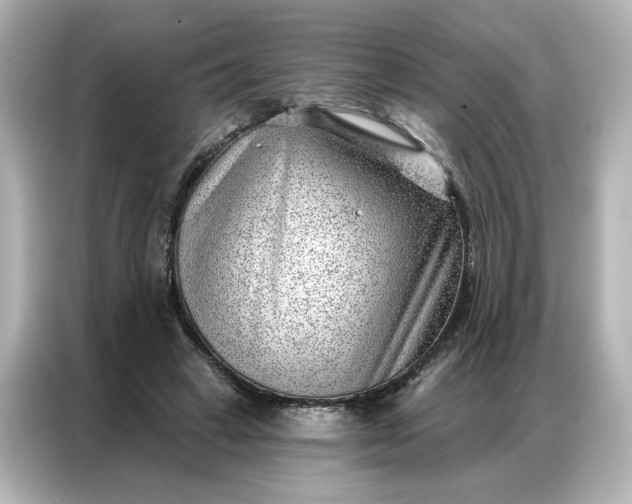 X0000086980449200704301321