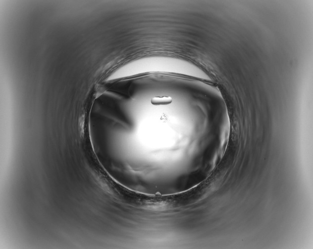 X0000086980454200704301321