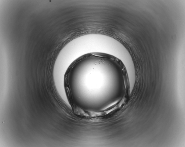 X0000086980456200704301321