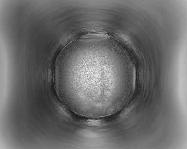 X0000086980457200704301321