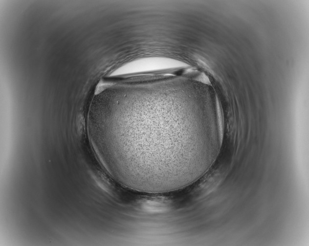 X0000086980459200704301321