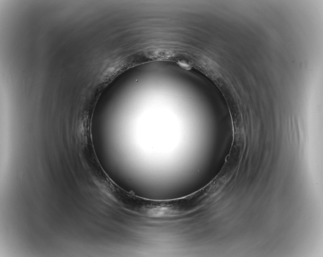 X0000086980460200704301321