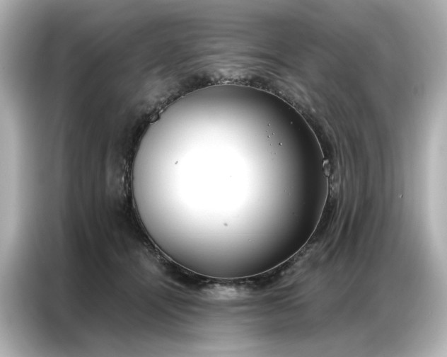 X0000086980464200704301321