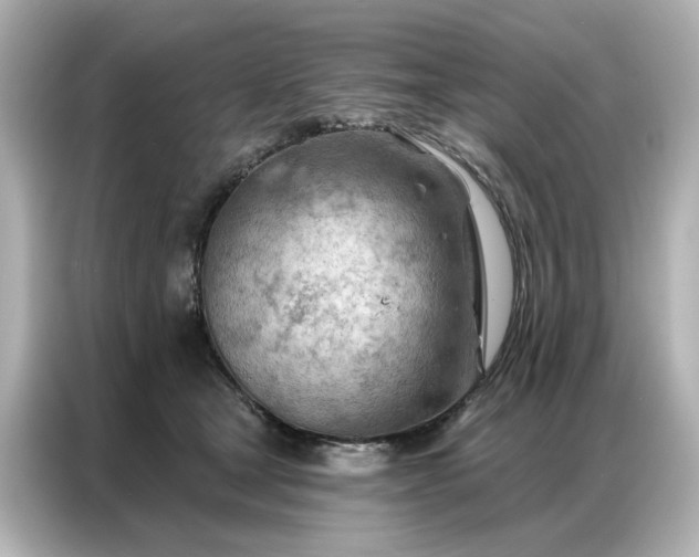 X0000086980465200704301321