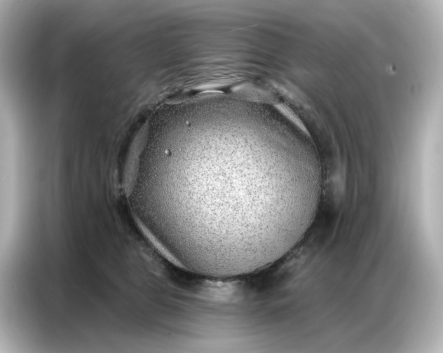 X0000086980469200704301321