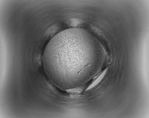 X0000086980470200704301321