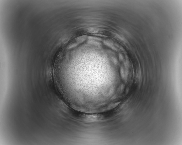 X0000086980473200704301321