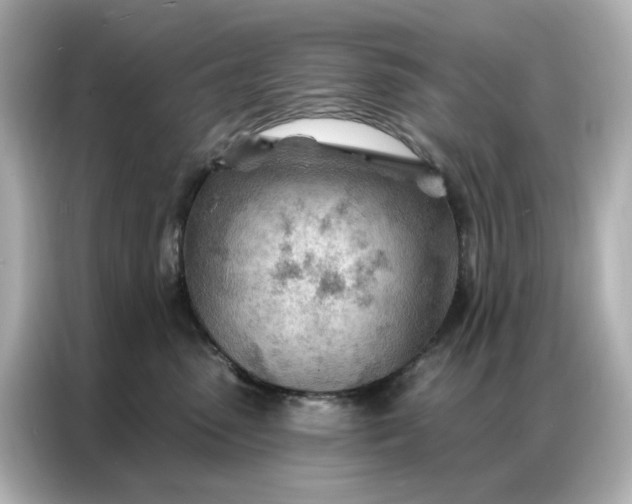 X0000086980475200704301321