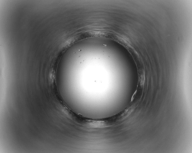 X0000086980476200704301321