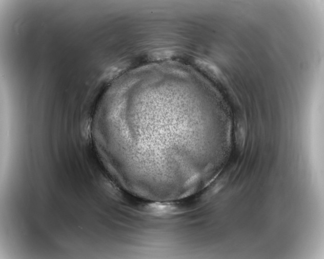 X0000086980477200704301321