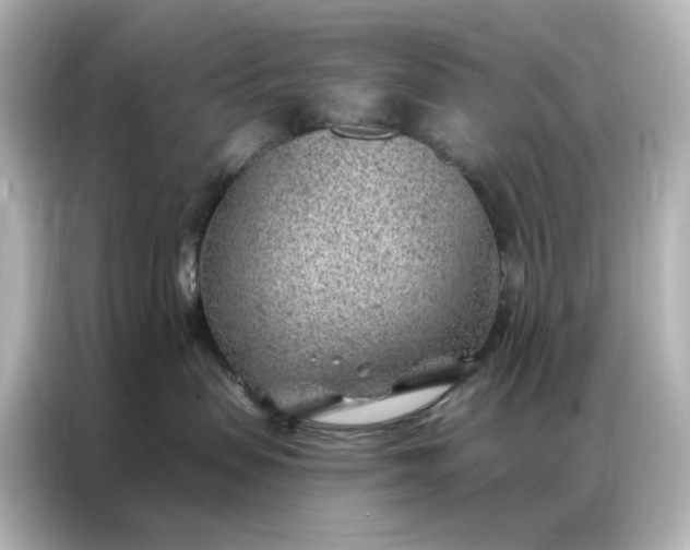 X0000086980479200704301321