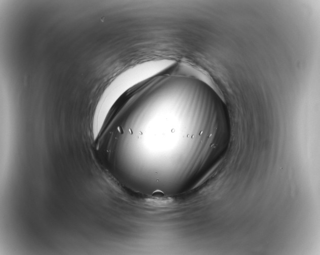 X0000086980480200704301321