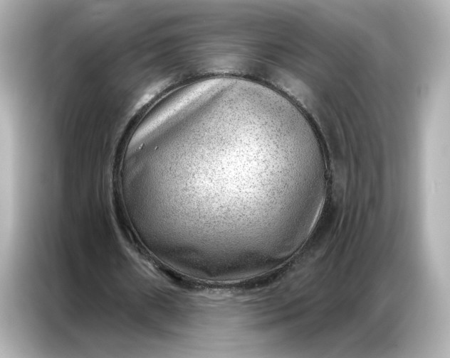 X0000086980482200704301321