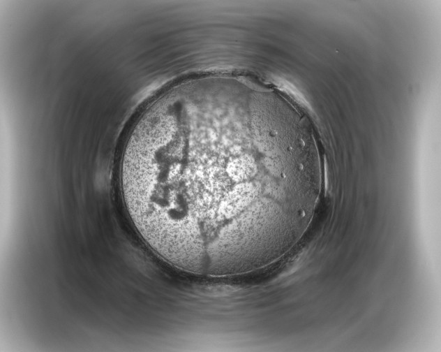 X0000086980483200704301320