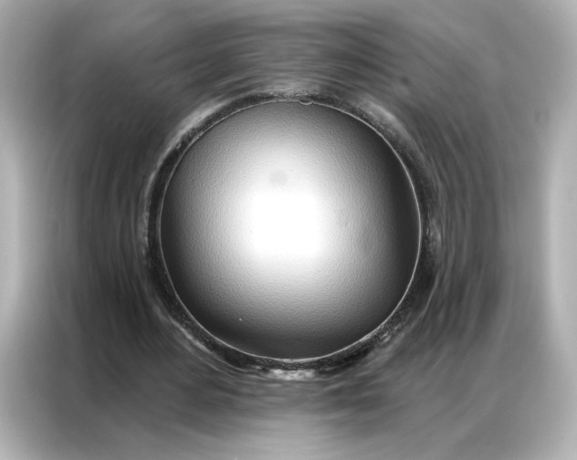 X0000086980484200704301320