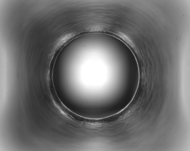 X0000086980485200704301320