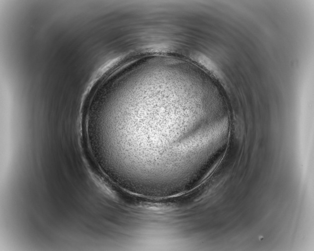 X0000086980486200704301320