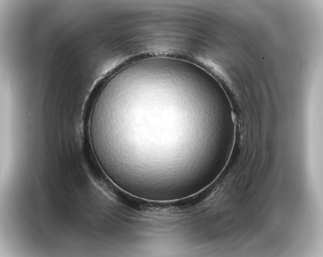 X0000086980488200704301320