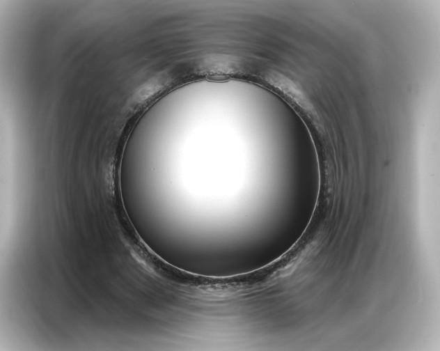 X0000086980489200704301320