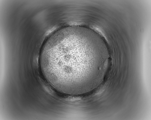 X0000086980491200704301320