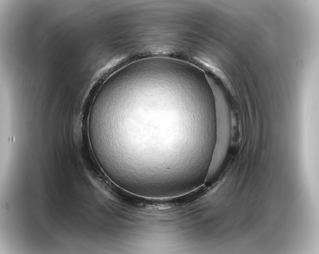 X0000086980492200704301320