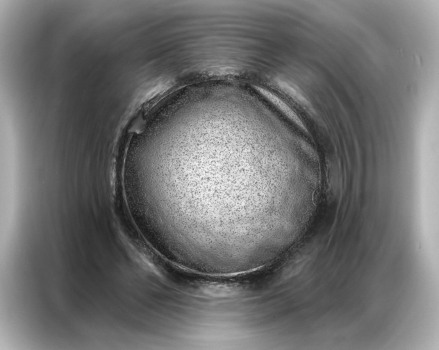 X0000086980494200704301320